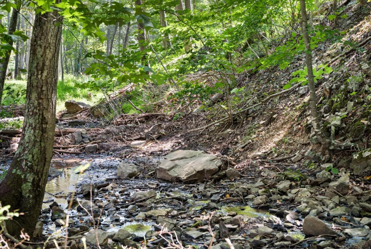 River Access W Hot Tub, Grill, Wifi, & Fire Pit! 로스트시티 외부 사진